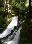 5.29.06 Siouxon Creek 017 